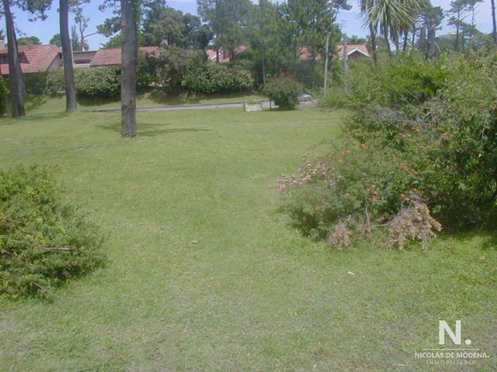 imagen  de la propiedad 24701