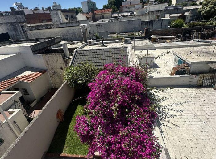 imagen  de la propiedad 135521