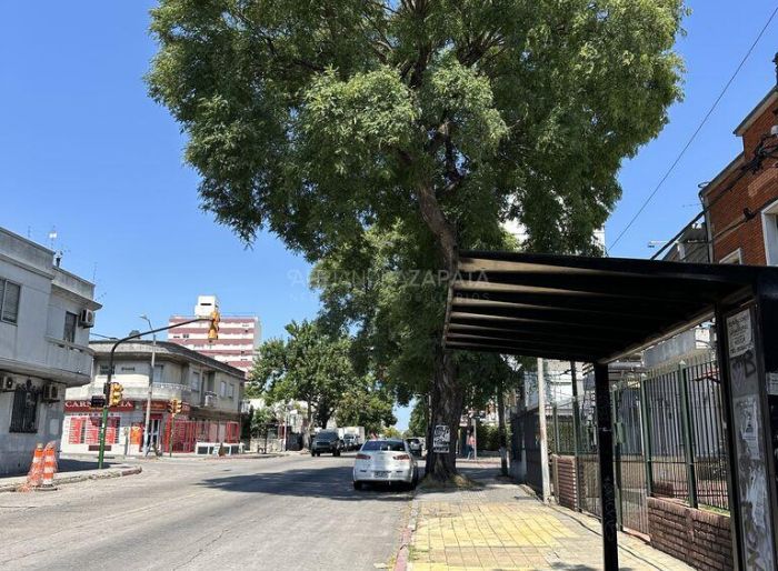 imagen  de la propiedad 166382
