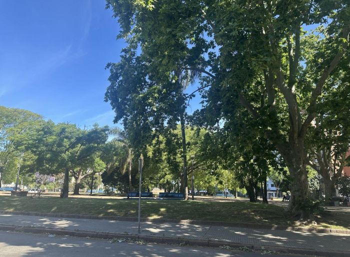 imagen  de la propiedad 176580