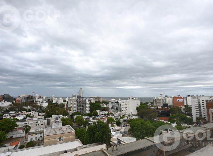 imagen  de la propiedad 176991