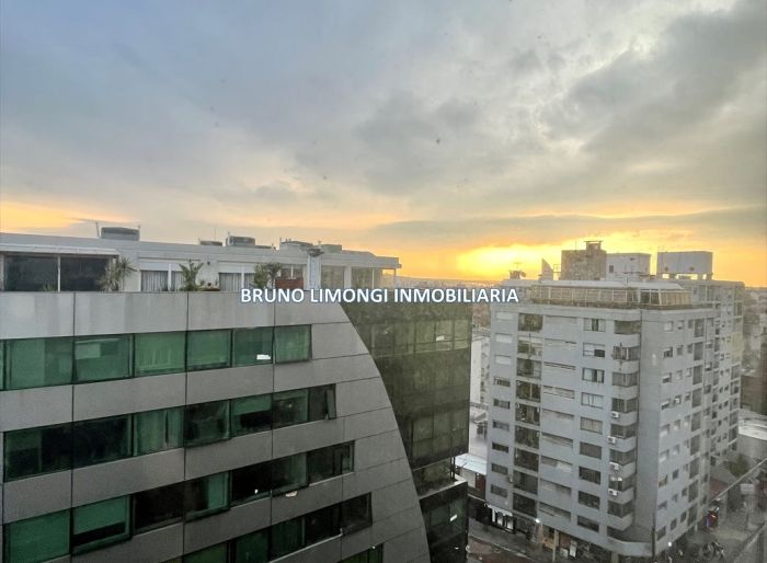 imagen  de la propiedad 158504