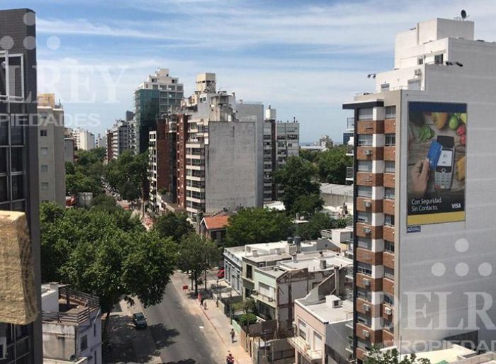 imagen  de la propiedad 127950