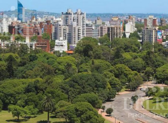 imagen  de la propiedad 175745