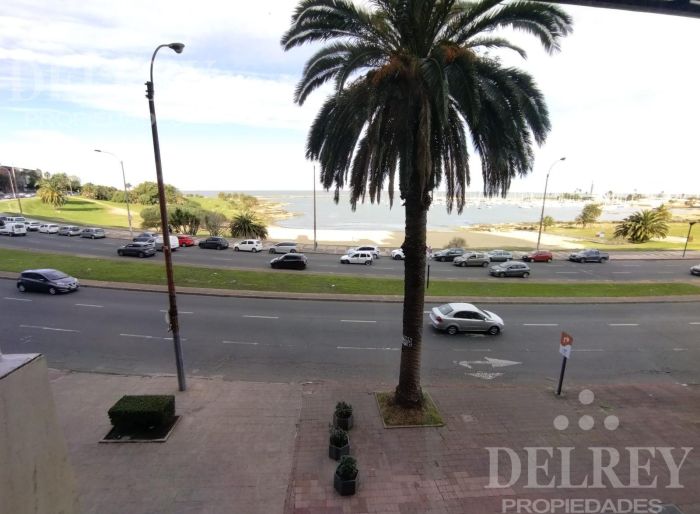 imagen  de la propiedad 50111