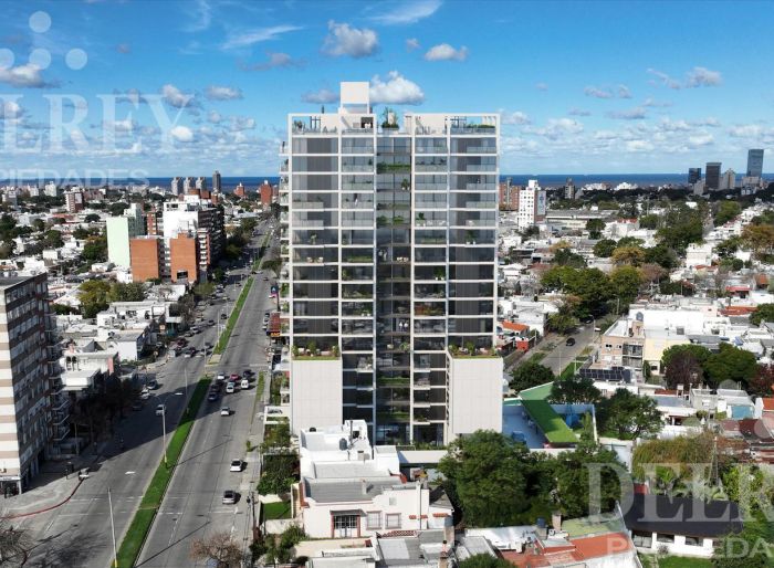 imagen  de la propiedad 81429