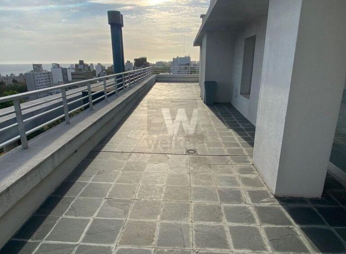 imagen  de la propiedad 151312