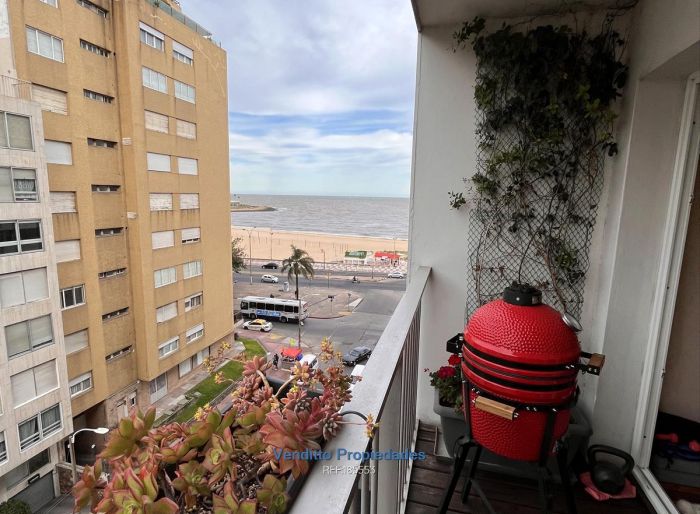 imagen  de la propiedad 160561