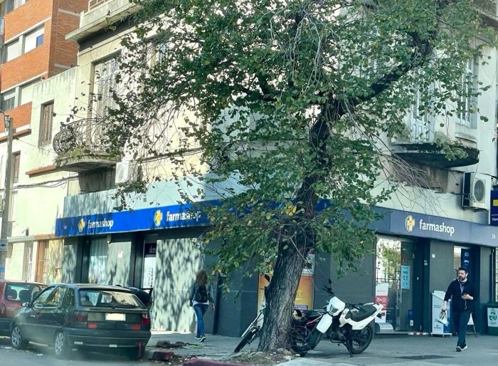 imagen  de la propiedad 145485
