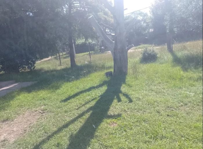 imagen  de la propiedad 157746