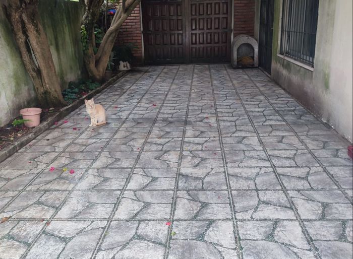 imagen  de la propiedad 160463