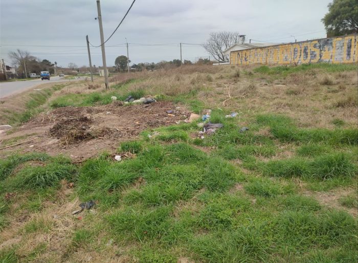 imagen  de la propiedad 160474