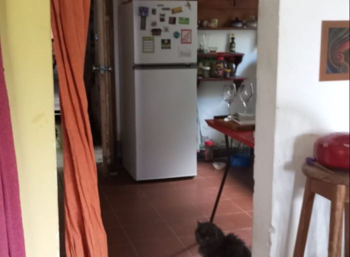 imagen  de la propiedad 173638