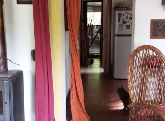 imagen  de la propiedad 173638