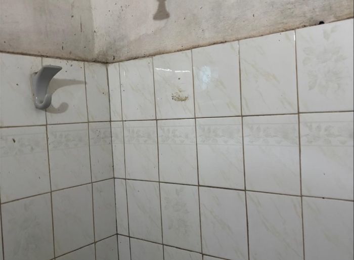 imagen  de la propiedad 185368