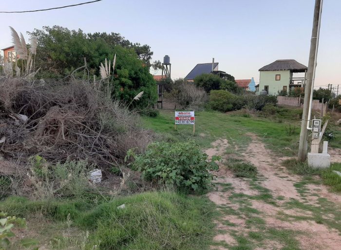 imagen  de la propiedad 39181