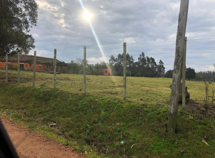 imagen  de la propiedad 43902