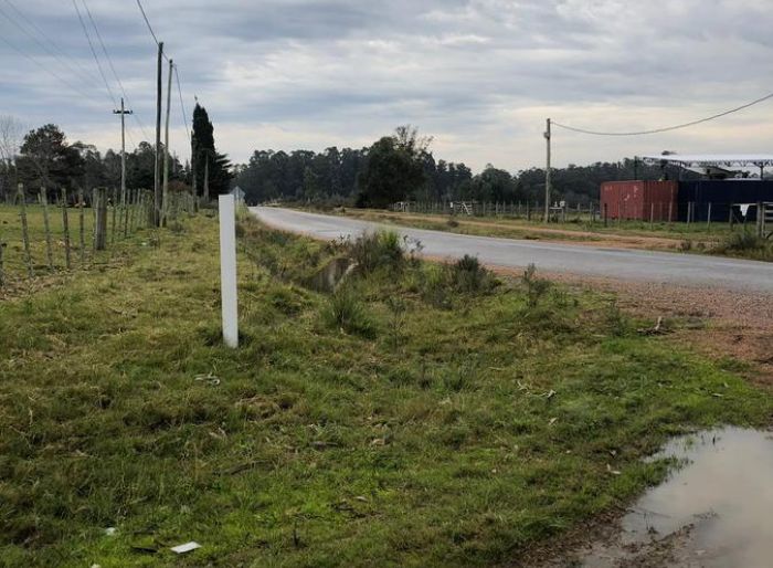 imagen  de la propiedad 43902
