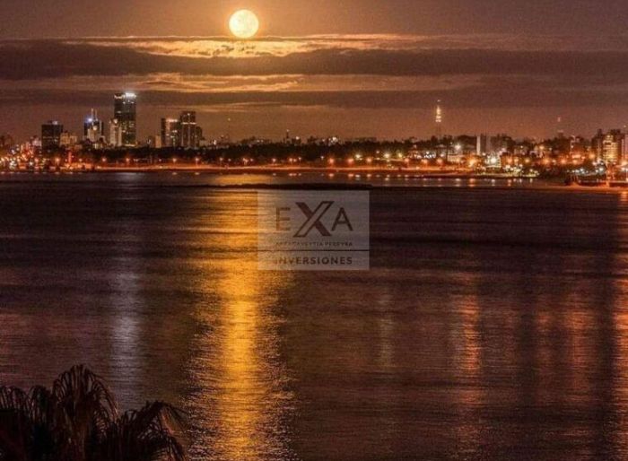 imagen  de la propiedad 149151