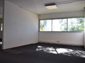 imagen  de la propiedad 204