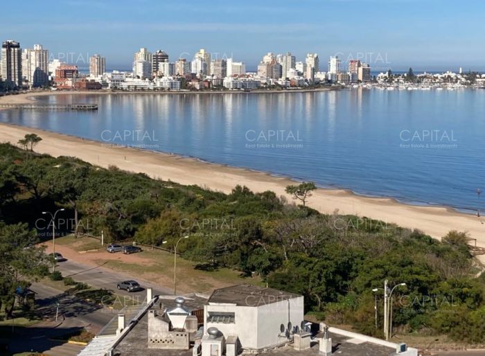 imagen  de la propiedad 109354