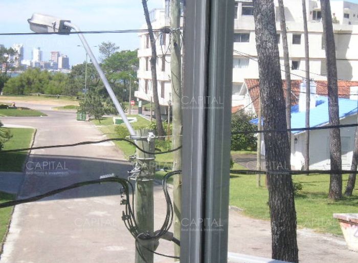 imagen  de la propiedad 14310