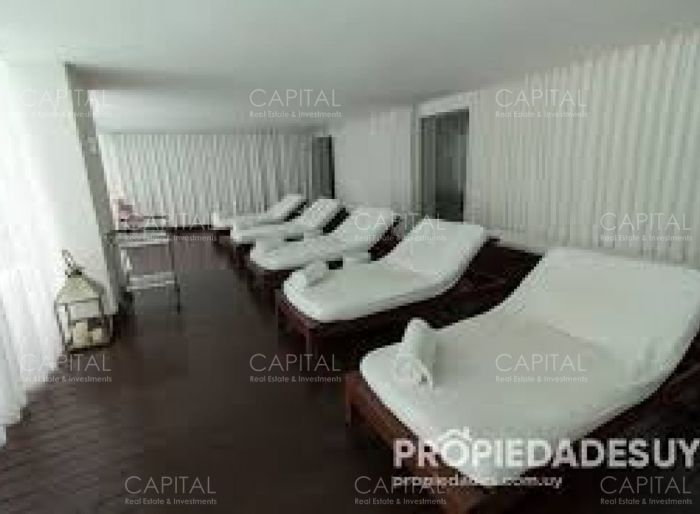 imagen  de la propiedad 14774