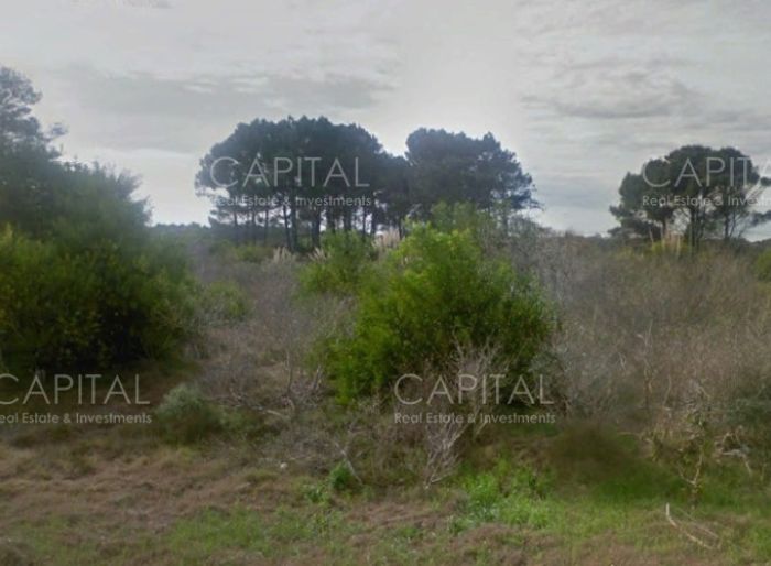 imagen  de la propiedad 151519