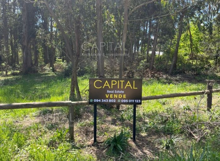 imagen  de la propiedad 171640