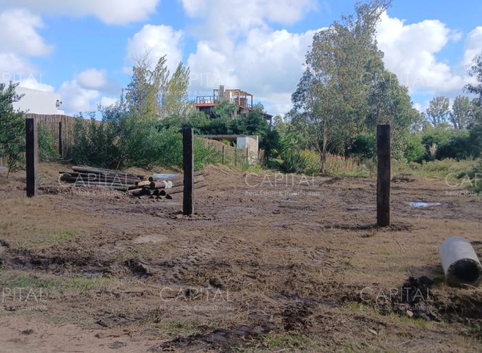 imagen  de la propiedad 172620