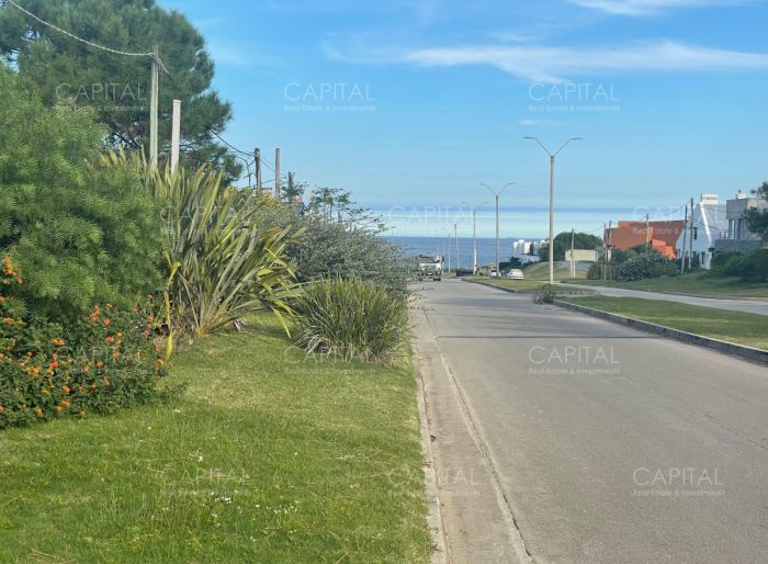 imagen  de la propiedad 173619