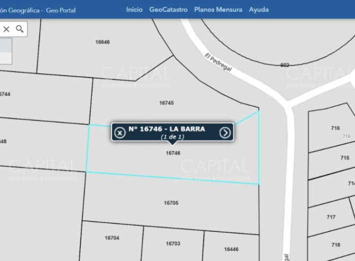 imagen  de la propiedad 175894