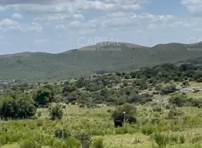 imagen  de la propiedad 177854
