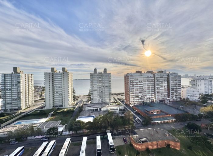 imagen  de la propiedad 183713