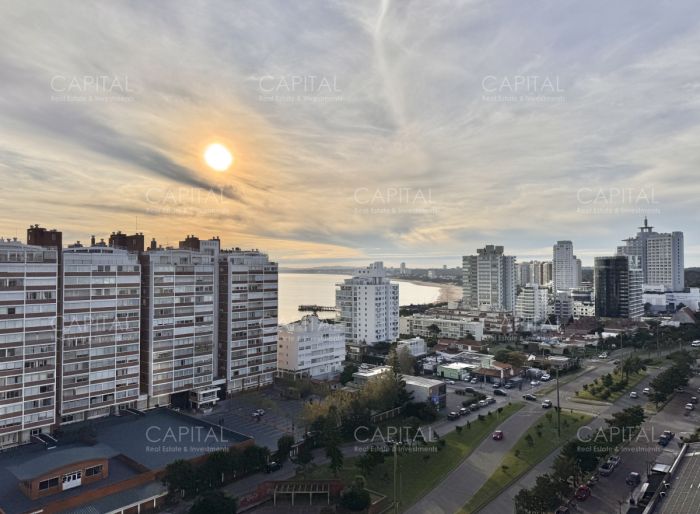 imagen  de la propiedad 183714
