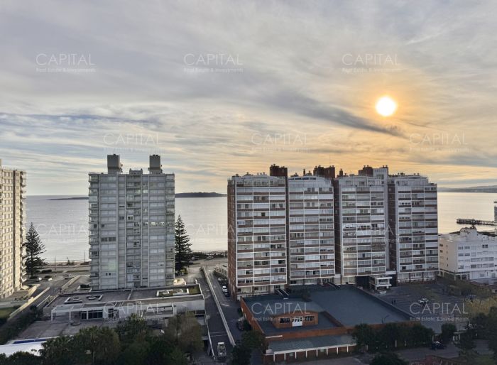 imagen  de la propiedad 183714