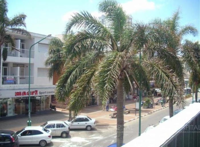 imagen  de la propiedad 26903