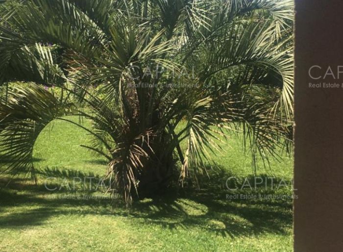 imagen  de la propiedad 36093