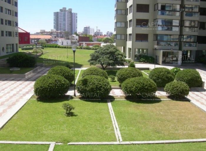 imagen  de la propiedad 40044