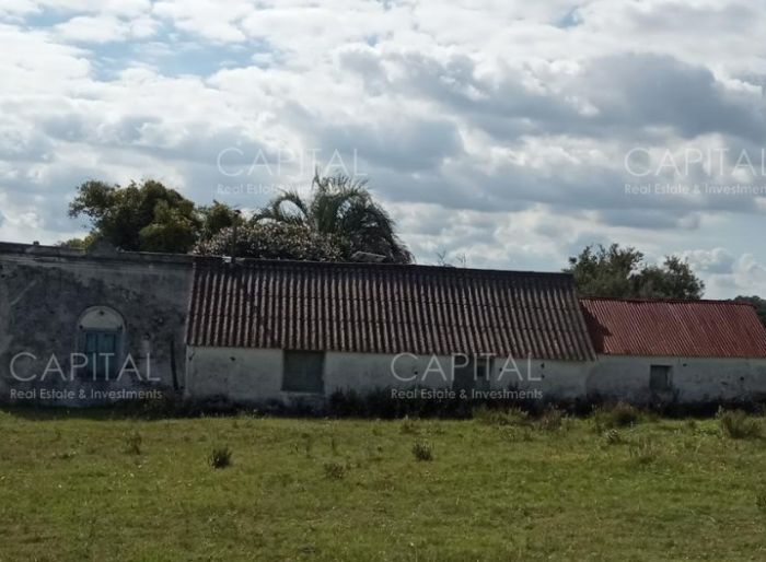 imagen  de la propiedad 40419