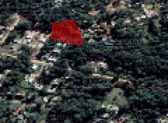 imagen  de la propiedad 42246