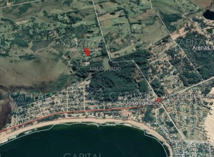 imagen  de la propiedad 42509