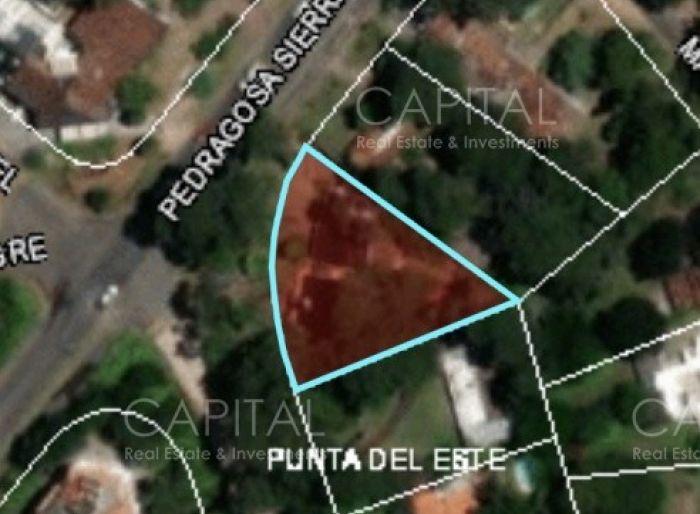 imagen  de la propiedad 42683