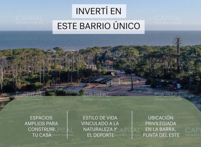 imagen  de la propiedad 42702