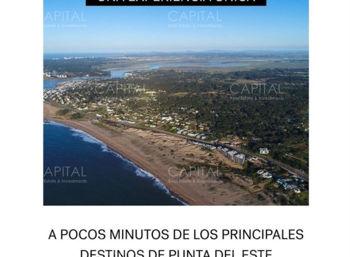 imagen  de la propiedad 42702
