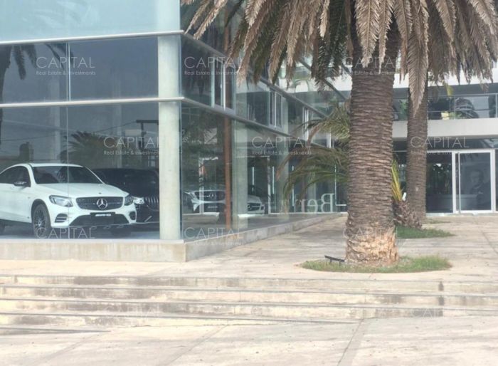 imagen  de la propiedad 42727