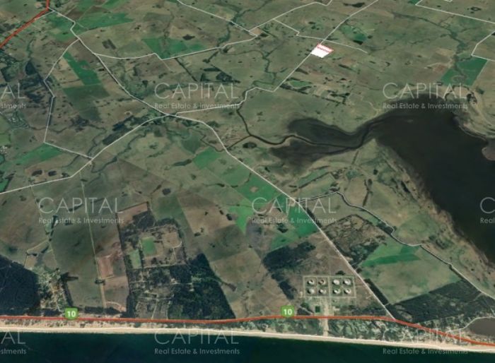 imagen  de la propiedad 42846