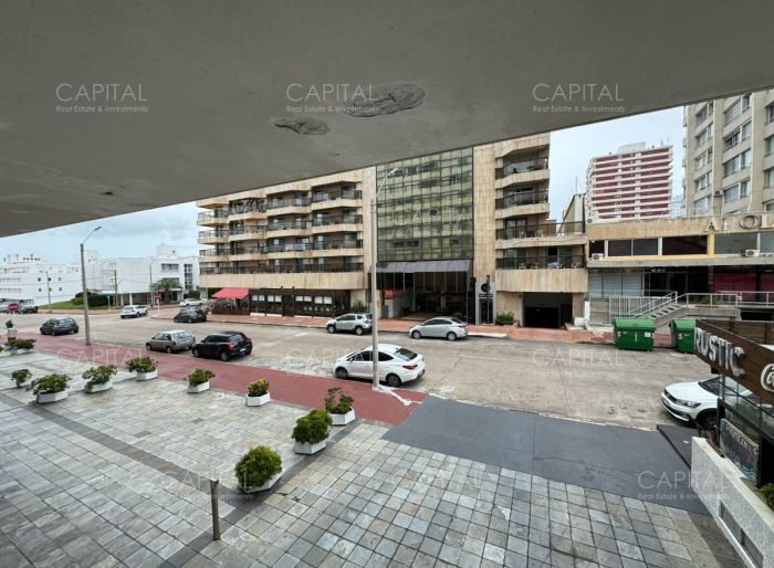 imagen  de la propiedad 81574
