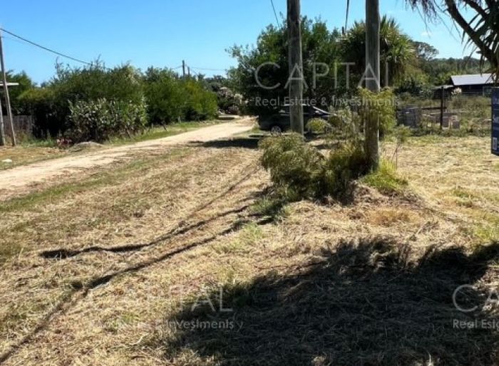 imagen  de la propiedad 99384