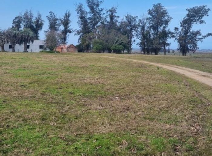 imagen  de la propiedad 110089